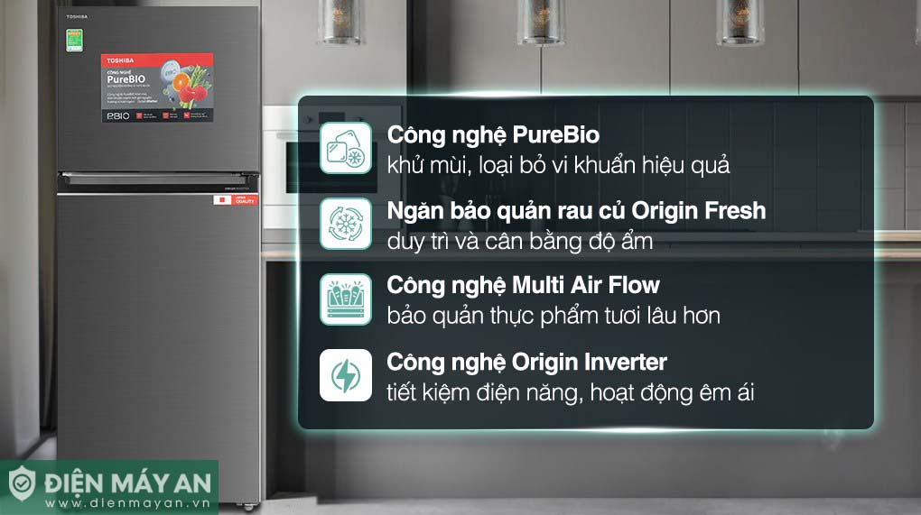 Tủ Lạnh Toshiba Inverter 411 Lít GR-RT559WE-PMV(58)-MM - tổng quan thiết kế